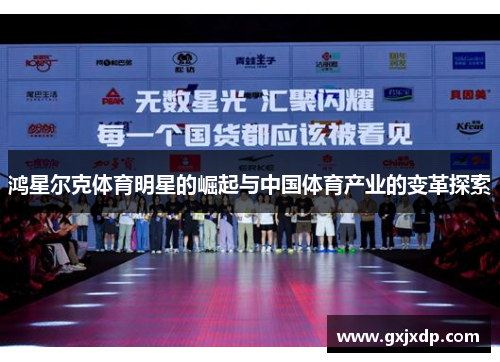 鸿星尔克体育明星的崛起与中国体育产业的变革探索