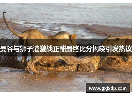 曼谷与狮子港激战正酣最终比分揭晓引发热议