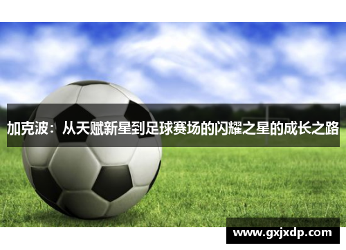 加克波：从天赋新星到足球赛场的闪耀之星的成长之路