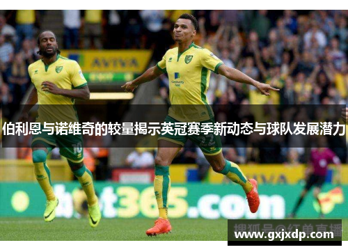伯利恩与诺维奇的较量揭示英冠赛季新动态与球队发展潜力