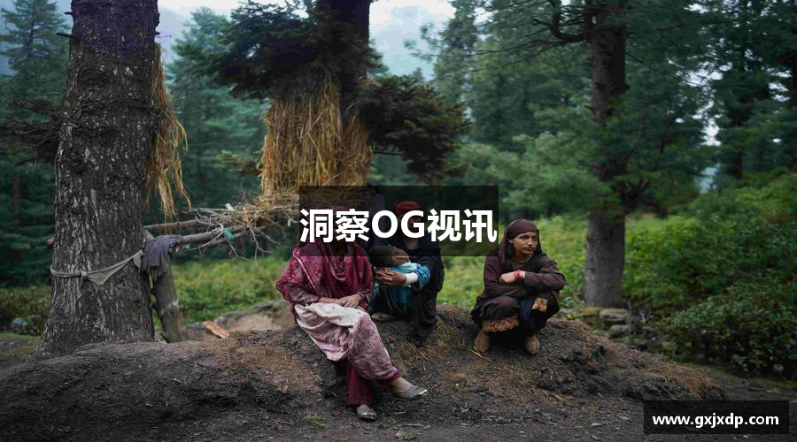 洞察OG视讯
